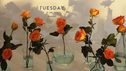 4k高清唯美花系列