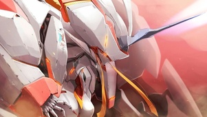 鹤望兰