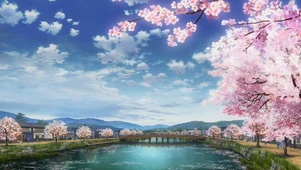 那年，樱花开了......