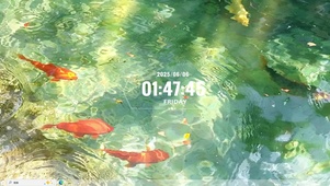 小清新游鱼