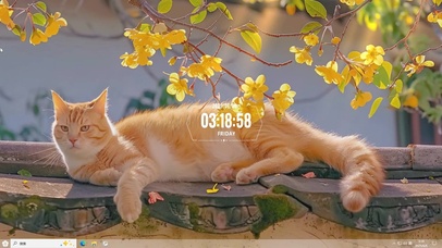 桂花树上桂花猫