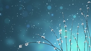 唯美雪梅
