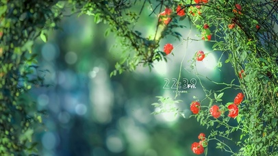 夏日午后阳光鲜花