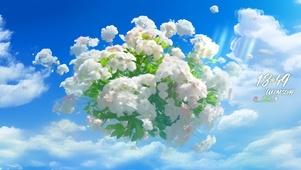 清晰蓝天白色花朵