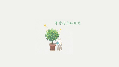 花开灿烂时