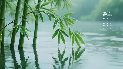 下雨湖面竹子