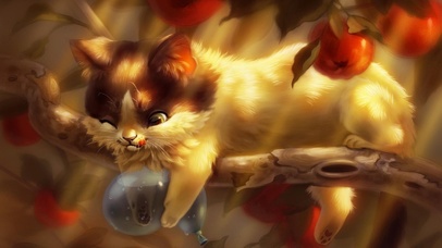 在树上玩耍的猫