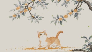 可爱喵喵