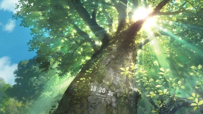 夏日阳光下的树林