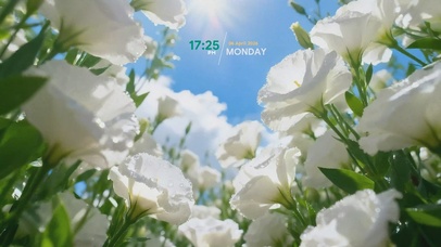 陌上花开+花艺时钟