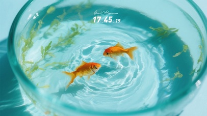 游光对影——清新静心