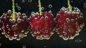 Cherry
