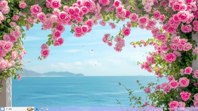 4K唯美浪漫海岸玫瑰