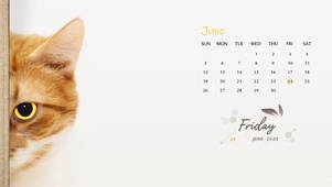 猫咪数字日历