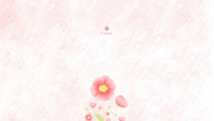 粉色格桑花