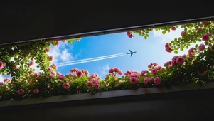 浪漫玫瑰一线天