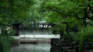 治愈雨天落叶风景