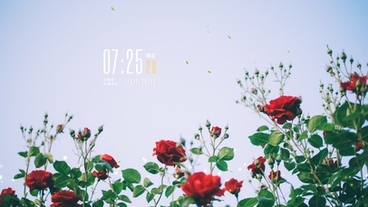 4k高清唯美小清新系列