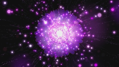 紫色粒子牡丹花