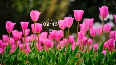 4k高清治愈小清新系列