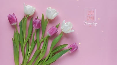 极简高级郁金香桌面