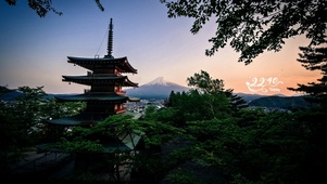 4k 唯美治愈绿叶富士山古楼