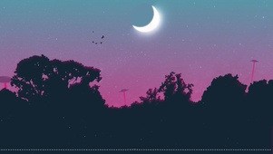 入夜