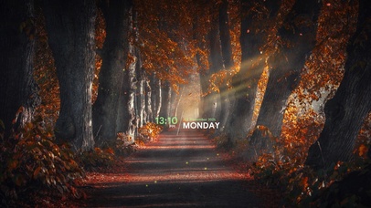 走在深秋的小径上