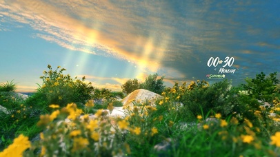 治愈清新夕阳海岸鲜花