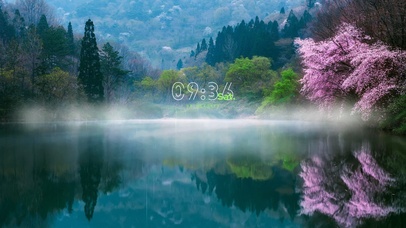 雨中雾里湖边落花