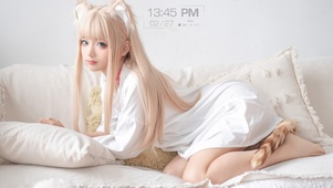 小猫咪