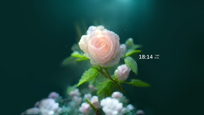 护眼清新 治愈花朵