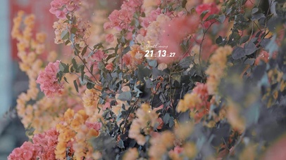 治愈护眼清新花丛