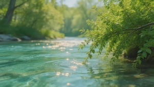 自然清新溪流治愈桌面