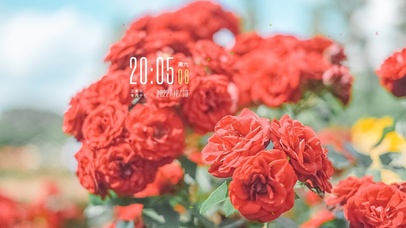 4k唯美风景桌面