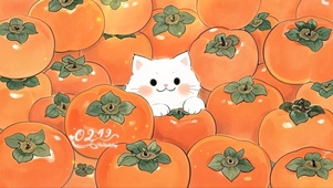 插画治愈猫咪与柿子