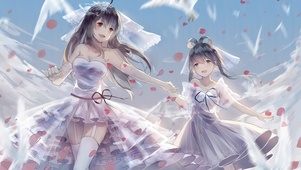 姐妹纱