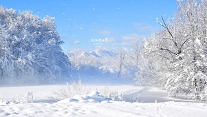 治愈冬季白雪纷飞