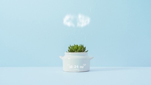 桌台上的小雨