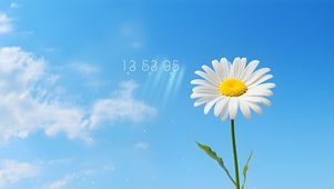 励志阳光雏菊