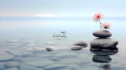 清新治愈石头花