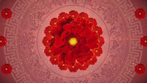唯美牡丹花