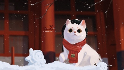 冬日的萌宠猫猫