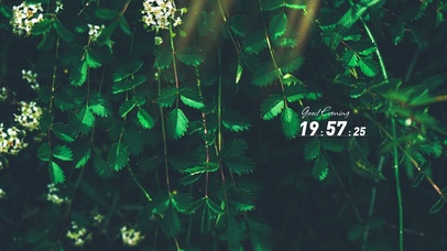 4k高级清新桌面