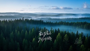 爱人先爱自～少说对不起