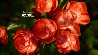 4k唯美清新壁纸