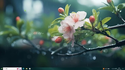 4K清新花朵护眼主题