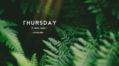 4k高清ins风绿色植物系列