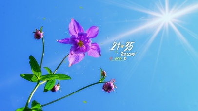 4k高清治愈阳光小清新系列