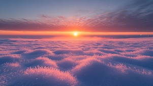 冰雪覆盖的田野